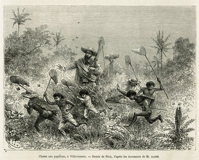 Grupa dzieci polowała na motyle, której towarzyszył autor, Villavicensio (Kolumbia), rysunek autorstwa Riou, ilustrujący historię Equinoxiale America (Kolumbia, Ekwador, Peru), w latach 1875-1876, autorstwa Ed. andre, podróżnik odpowiedzialny za misję prze autorstwa Edouard Riou