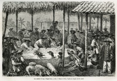 Walki kogutów i animacja uliczna w Ibague (Kolumbia), rysunek Riou, ilustrujący historię Equinoxiale America (Kolumbia, Ekwador, Peru), w latach 1875-1876, autorstwa Ed. Andre, opłata misyjna podróżnika przez rząd francuski. Grawerowanie w Le tour du monde autorstwa Edouard Riou