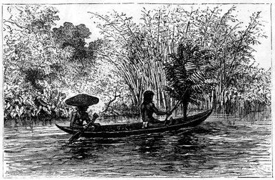 Ziemianka w rzece Essequibo, Gujana, XIX w. autorstwa Edouard Riou