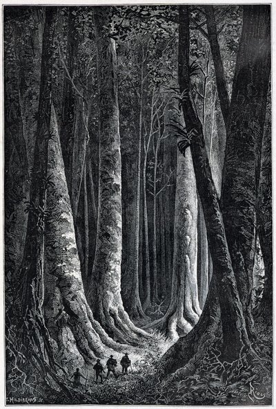 Las Gujany Francuskiej, rys. Riou, „Le Tour du Monde”, sem. 1879. autorstwa Edouard Riou