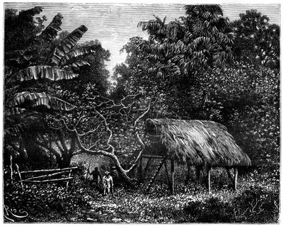 Gujana, Ameryka Południowa, XIX w. autorstwa Edouard Riou
