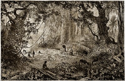 Instalacja obozu odkrywców w Gwatemali (1882) autorstwa Edouard Riou