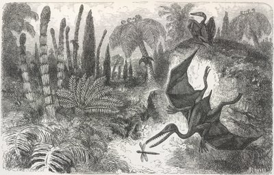 „Krajobraz okresu liasicznego”. Ilustracja przedstawiająca pterodaktyla autorstwa Edouard Riou