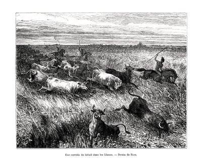 Hodowla, Los Llanos, Wenezuela, XIX wiek autorstwa Edouard Riou