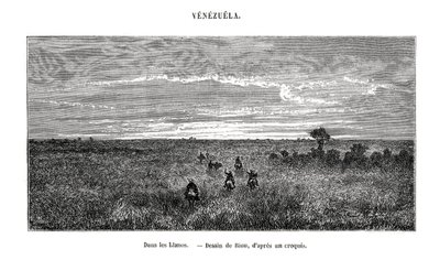Los Llanos, Wenezuela, XIX w. autorstwa Edouard Riou