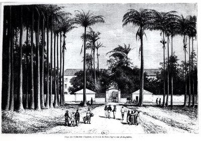 Place des Palmistes, Cayenne, Gujana autorstwa Edouard Riou
