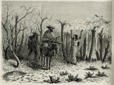 Chmury koników polnych z Vallee du Upper Patia, z narratorem podróży na mule, grawerowanym przez Riou, aby zilustrować historię L