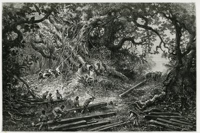 Eksploatacja mahoniu w lasach Andów. Grawerowanie wykonane przez Riou, aby zilustrować historię „Podróż na Jukatan i do krainy Lakandonów”, w 1882 r., autorstwa archeologa i fotografa Desire Charnay (1828-1915). Opublikowano w Tour du monde nou autorstwa Edouard Riou