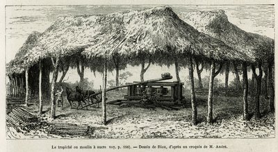 Trapiche, czyli młynek do cukru do mielenia laski w Panche (Kolumbia), rysunek Riou, ilustrujący historię Equinoxiale America (Kolumbia, Ekwador, Peru), w latach 1875-1876, autorstwa Ed. Andre, za misję podróżniczą od rządu francuskiego. Grawerowanie w Le  autorstwa Edouard Riou