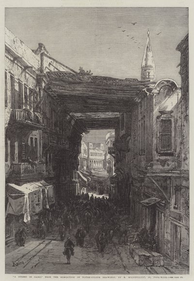 Ulica w Kairze autorstwa Eduard Hildebrandt