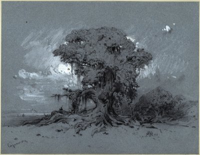 Stare drzewo autorstwa Eduard Hildebrandt