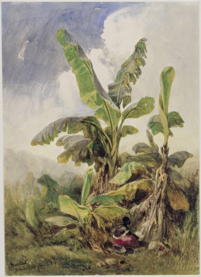  autorstwa Eduard Hildebrandt