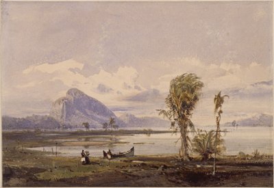Widok na jezioro Lagoa Rodrigo de Freitas w Rio de Janeiro autorstwa Eduard Hildebrandt