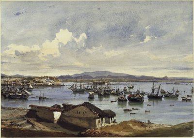Panorama Rio de Janeiro autorstwa Eduard Hildebrandt