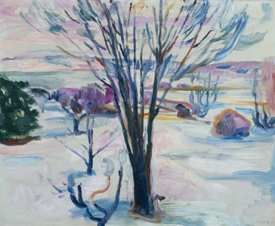 Zimowy krajobraz z Jeloya autorstwa Edvard Munch
