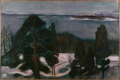 Zimowa noc autorstwa Edvard Munch