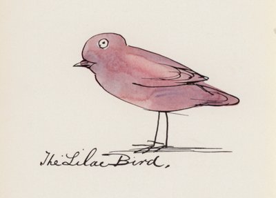 Edward Lear, Księga ptaków: Ptak bez (kolor lito) autorstwa Edward (after) Lear