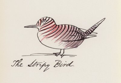 Edward Lear, Ptasia księga: Pasiasty ptak (kolor lito) autorstwa Edward (after) Lear