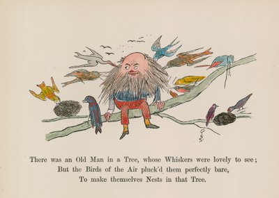 Na drzewie siedział starzec, którego wąsy były piękne (kolorowy grawerunek) autorstwa Edward (after) Lear