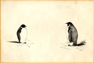 Pingwiny cesarskie autorstwa Edward Adrian Wilson