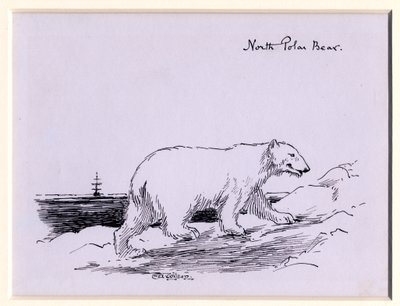 Niedźwiedź polarny, ok. 1905 (tusz na papierze) autorstwa Edward Adrian Wilson
