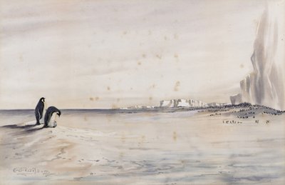 Pingwin cesarski Rookery, Cape Crozier autorstwa Edward Adrian Wilson