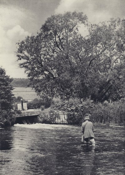 Na rzece Itchen poniżej Winchester (zdjęcie czarno-białe) autorstwa Edward Alfred Barton