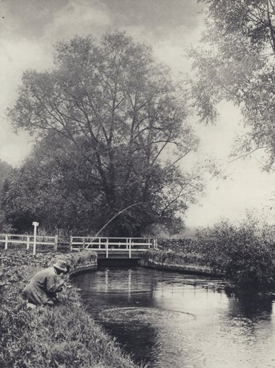 Ostatnia walka (zdjęcie czarno-białe) autorstwa Edward Alfred Barton