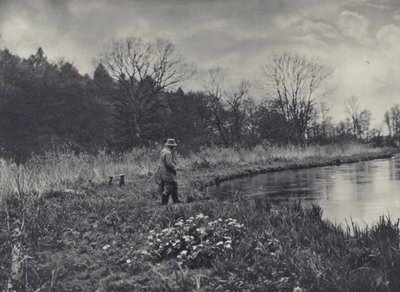 Pierwsze wiosenne Kingcups (zdjęcie czarno-białe) autorstwa Edward Alfred Barton