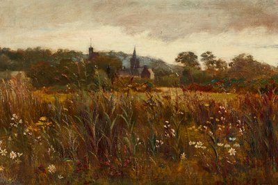 Spojrzenie Kirkcudbrighta (olej na płótnie) autorstwa Edward Atkinson Hornel