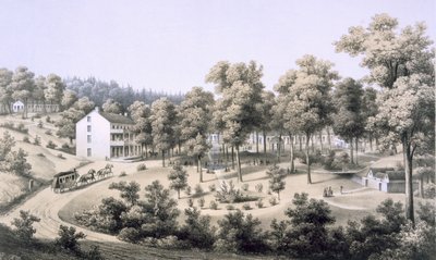 Stribling Springs, Spa Village, Augusta Country, 1858 autorstwa Edward Beyer