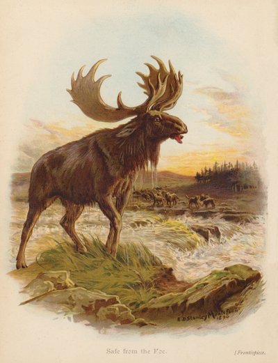 Bezpieczny od wroga (kolorowa litografia) autorstwa Edward Brice Montefiore