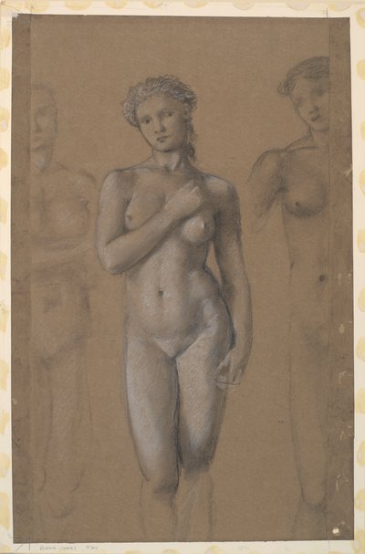 Akt kobiecy - trzy studia, prawdopodobnie dla Wenus autorstwa Edward Burne Jones