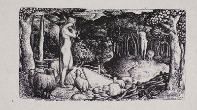 Idealne życie duszpasterskie autorstwa Edward Calvert