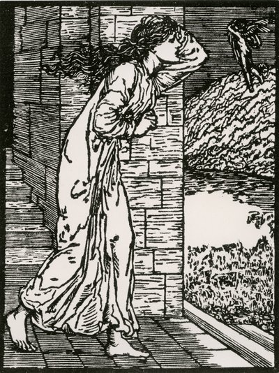 Psyche wybiega z Pałacu autorstwa Edward Coley (after) Burne Jones