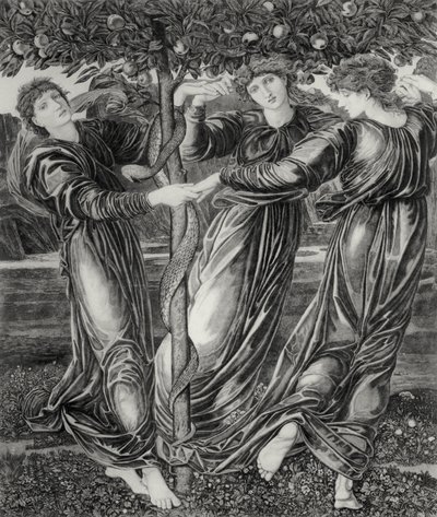 Ogród Hesperyd autorstwa Edward Coley (after) Burne Jones