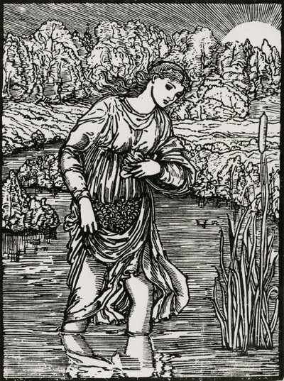Zadanie trzcin autorstwa Edward Coley (after) Burne Jones