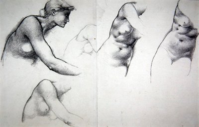Drzewo przebaczenia - Studium do postaci Phyllis, ok. 1882 (ołówek na papierze) autorstwa Edward Coley Burne Jones
