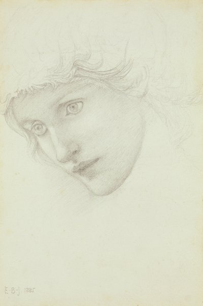 Studium na głowę syreny, 1885 autorstwa Edward Burne Jones