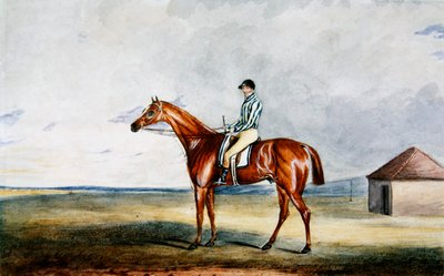 „Riddlesworth” H. Edwards Up Lorda Jersey, c.1931 (akwarela na papierze) autorstwa Edward Duncan