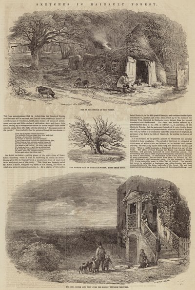 Szkice w lesie Hainault autorstwa Edward Duncan