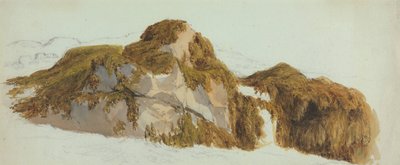 Studium skał pokrytych wodorostami autorstwa Edward Duncan