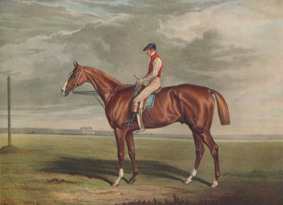 „Velocyped, zwycięzca St. Leger, 1828”, c1828, 1929 autorstwa Edward Duncan