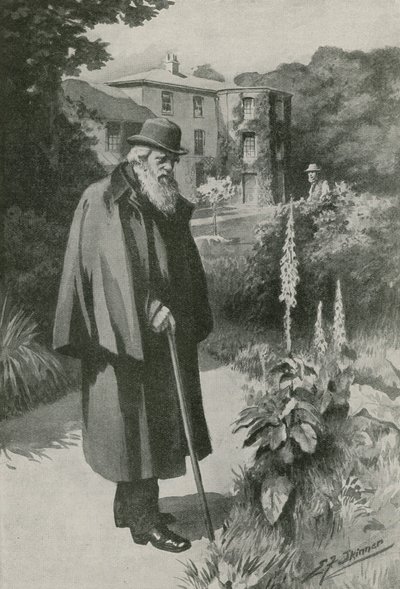 Karol Darwin w swoim ogrodzie w Down House (litografia) autorstwa Edward Frederick Skinner