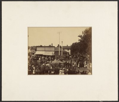 [Słonie idą przez miasto, Maple City] autorstwa Edward H. Hart