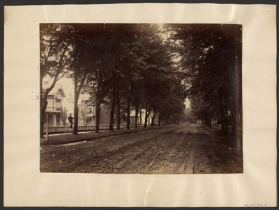 [Tree Lined Street] autorstwa Edward H. Hart