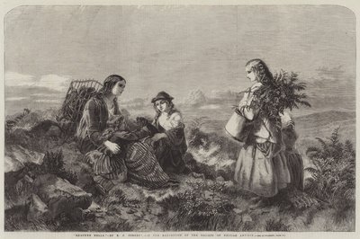 Wrzosowe dzwony autorstwa Edward John Cobbett
