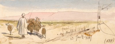 Sucha trawa Halfeh autorstwa Edward Lear