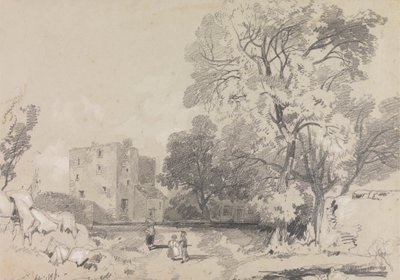Zrujnowany dom z wieżą autorstwa Edward Lear