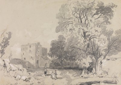 Zrujnowany dom z wieżą autorstwa Edward Lear
